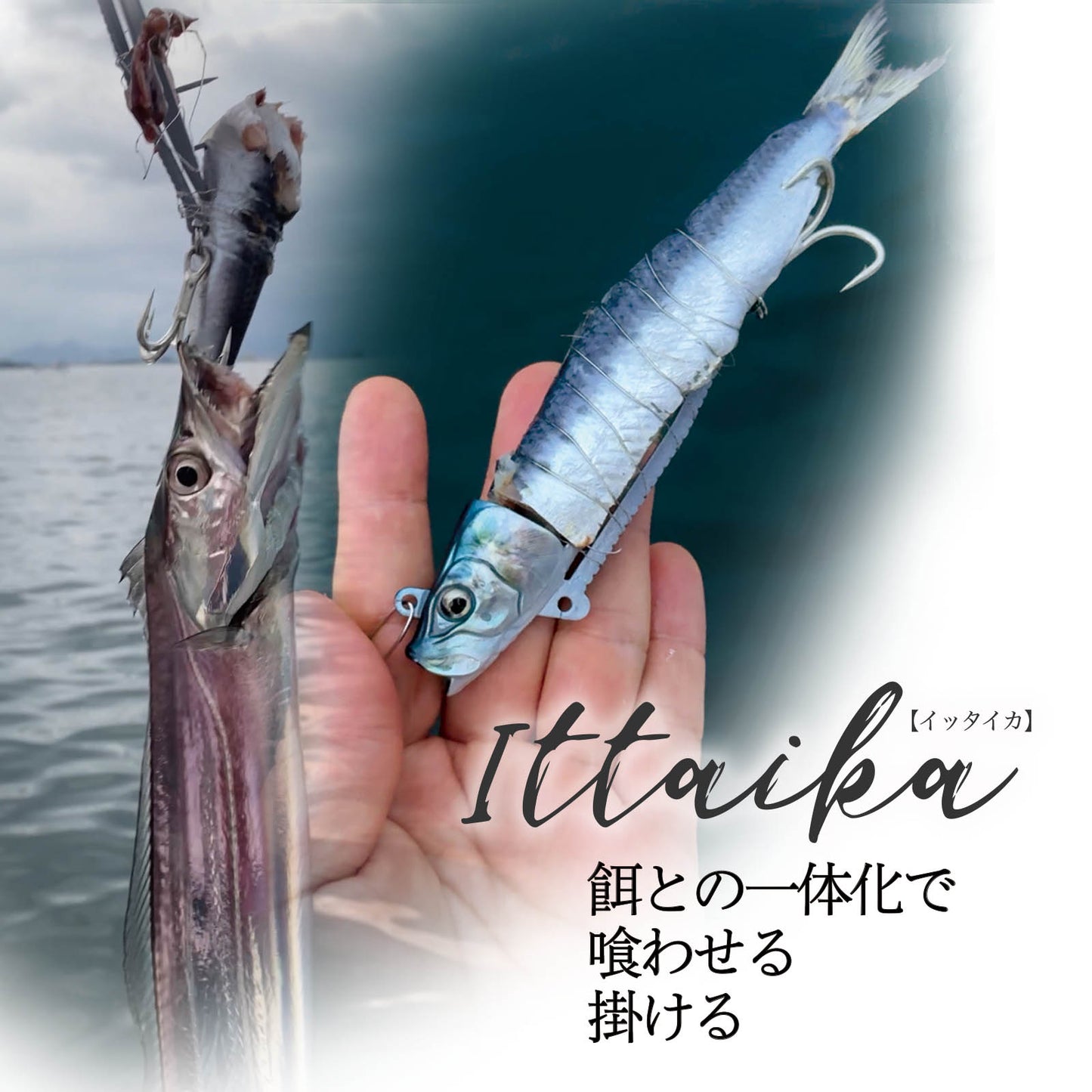ITTAIKA イッタイカ