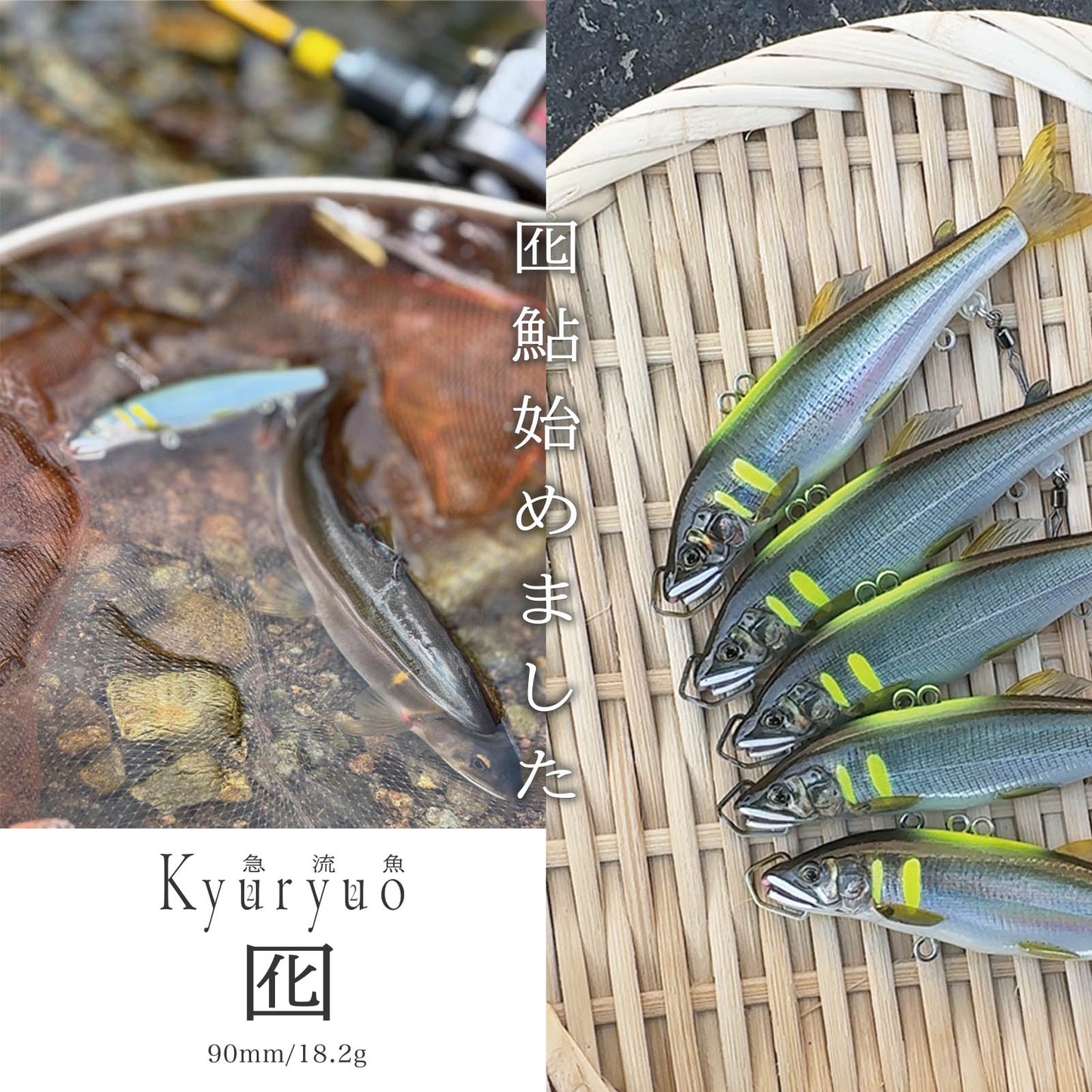 KyUryUo 急流魚 キュウ リュウ ウオ