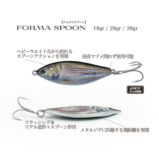 FORMA SPOON　フォルマ スプーン