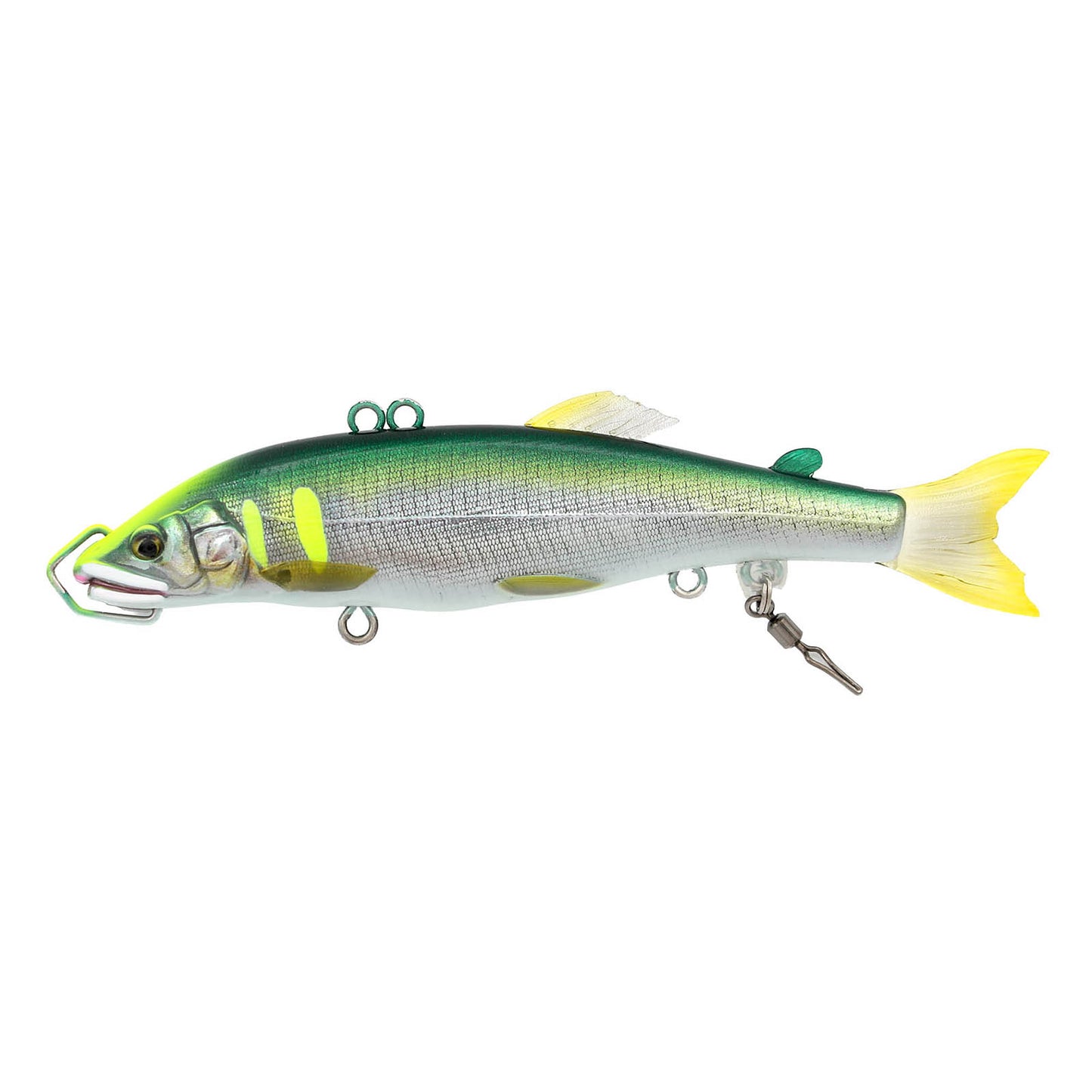 KyUryUo 急流魚　キュウ リュウ ウオ
