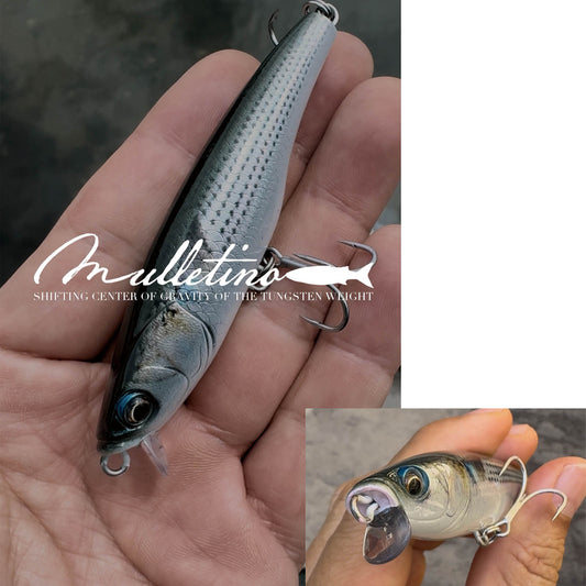 Mulletino　マレッチノ