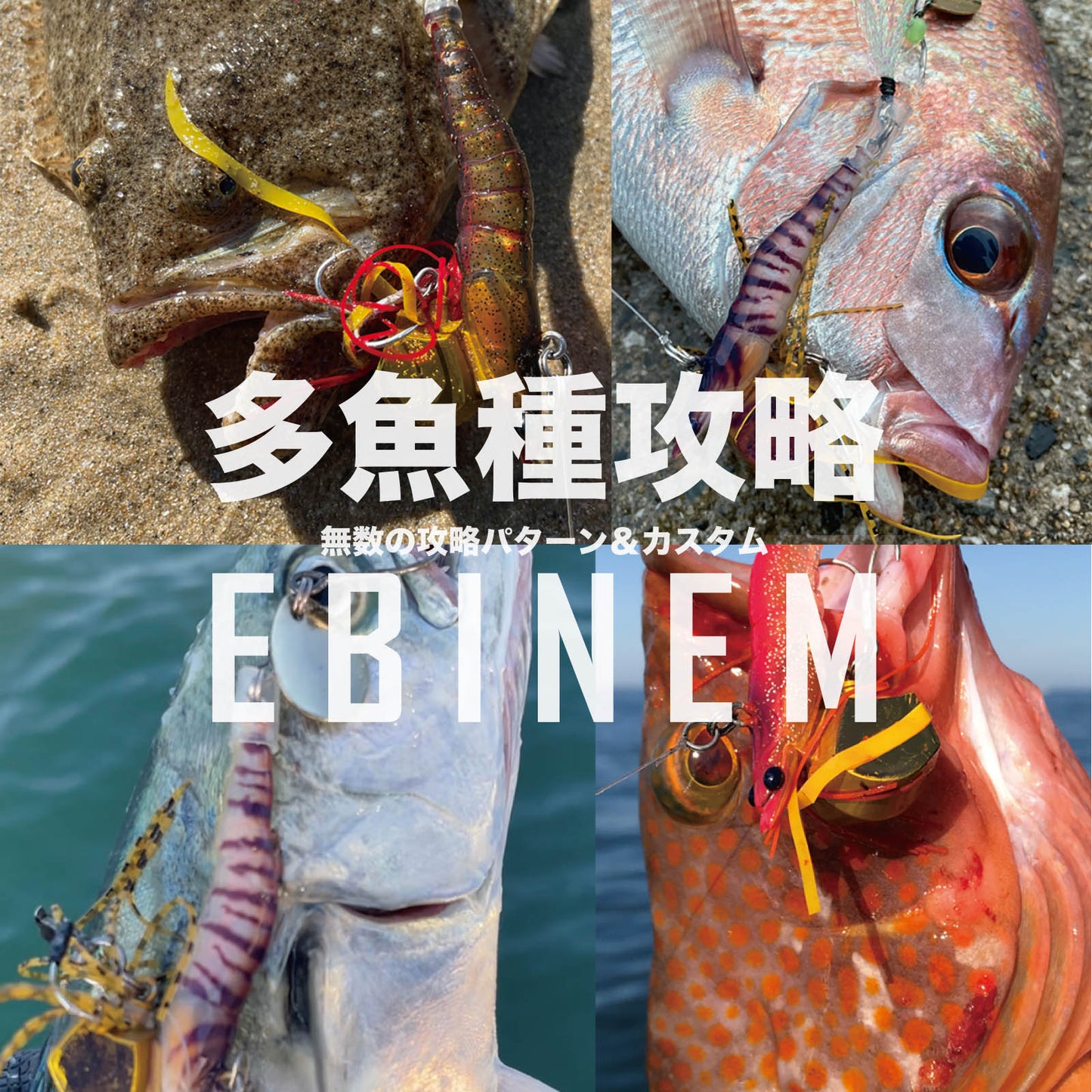 EBINEM　エビネム