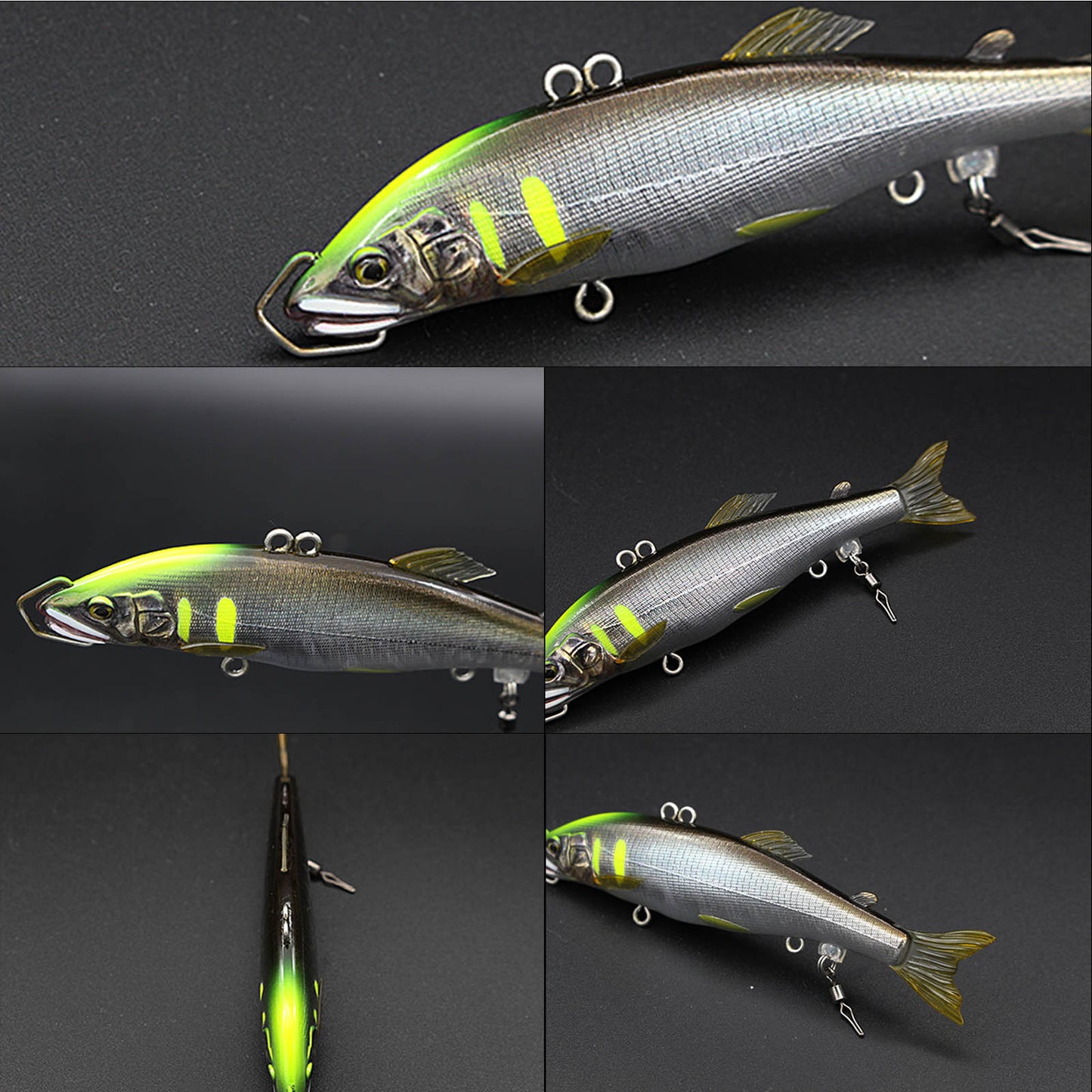 KyUryUo 急流魚　キュウ リュウ ウオ